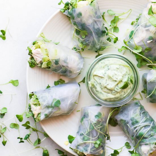 Chicken Salad Summer Rolls
