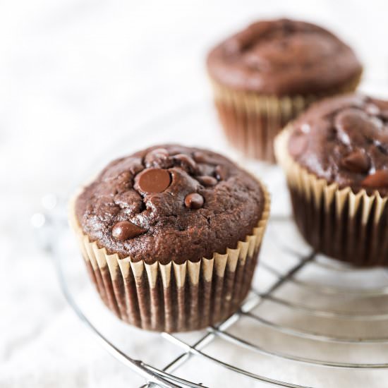 Double Chocolate Chip Muffins