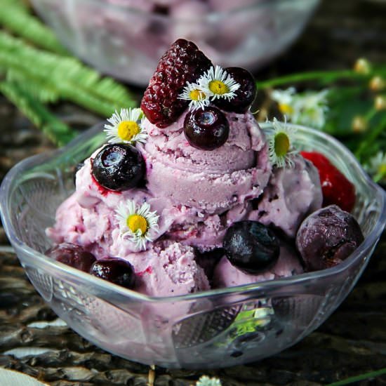 Berry Medley and Cherry Ice-Cream