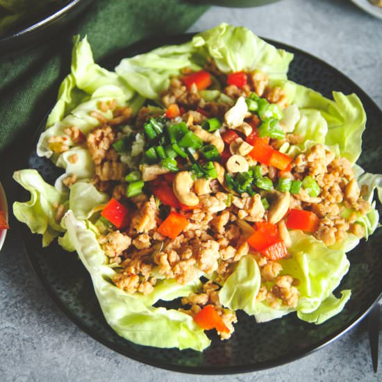 Asian Turkey Lettuce Wrap Salad