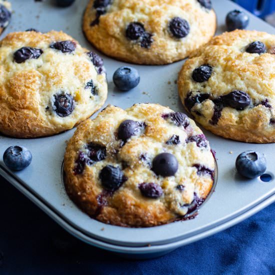 Jumbo Blueberry Muffins
