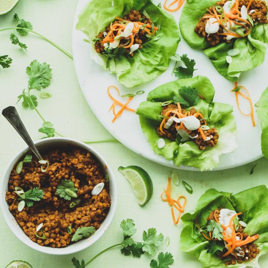 BBQ Lentil Lettuce Wraps