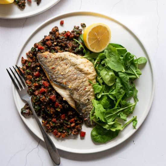 Sea Bass with Chorizo and Lentils