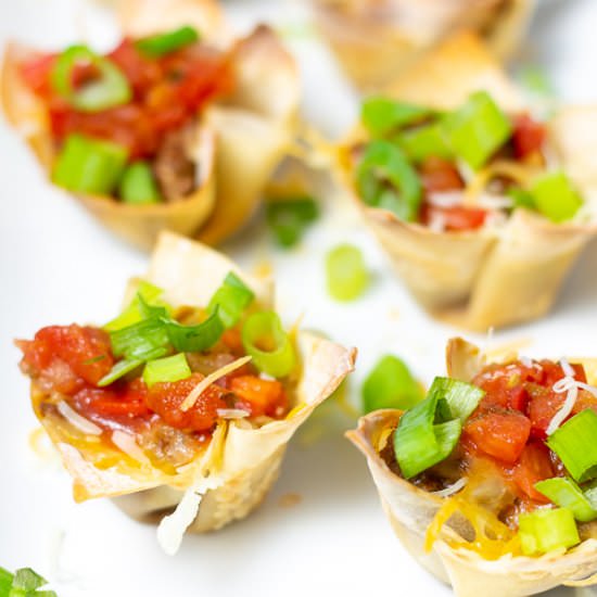 Wonton Taco Cups