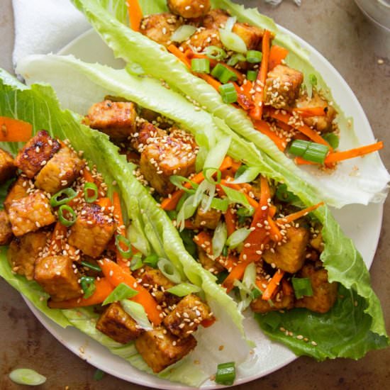 Ginger Sesame Tempeh Lettuce Wraps