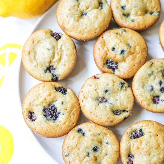 Lemon Blackberry Protein Muffins