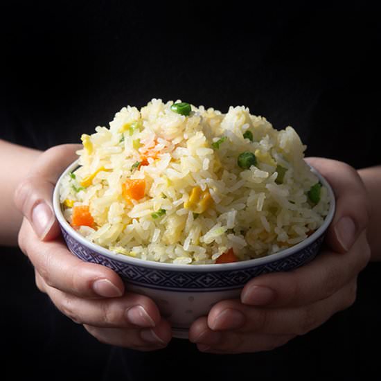 Instant Pot Fried Rice