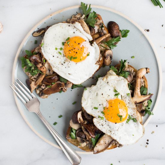 Mixed Mushroom Toasts