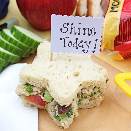 Apple and Kale Chicken Salad