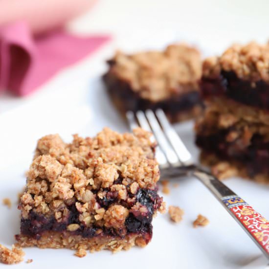 Blueberry Oatmeal Bars