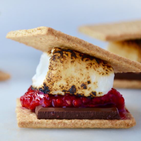 The Best Berry S’mores