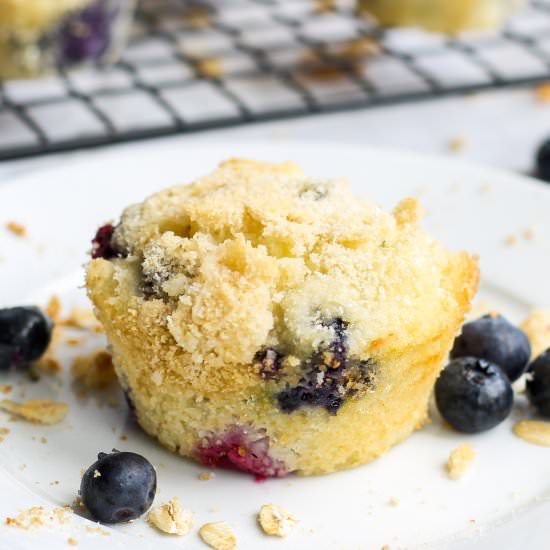 Blueberry Zucchini Mini Muffins