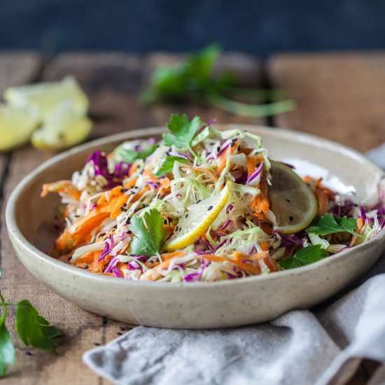 Vegan No Mayo Coleslaw