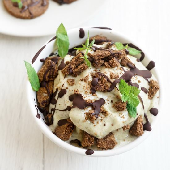 Mint Chocolate Chip Ice Cream (DF)