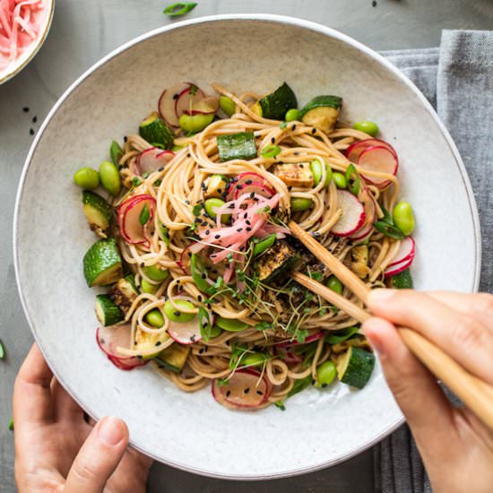 Cold soba noodles