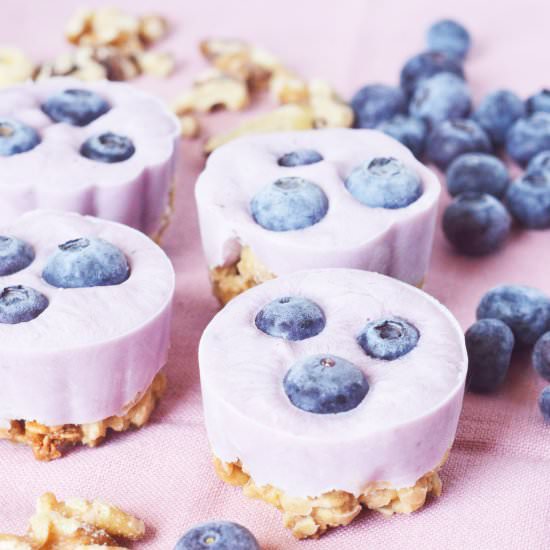 Blueberry Granola Fro Yo Bites