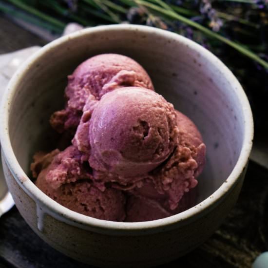 Coconut Milk Kefir Cherry Ice Cream