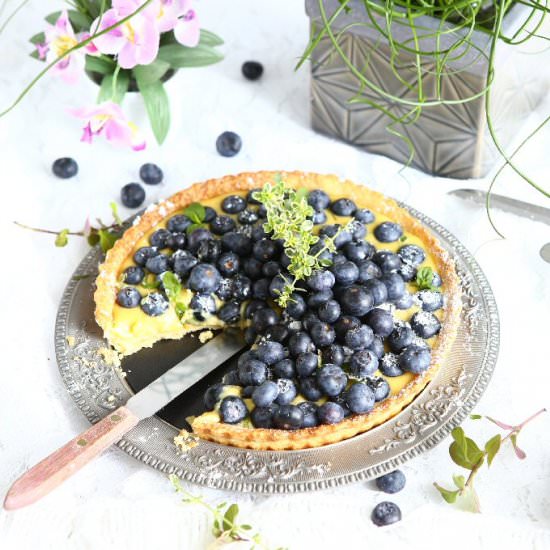 Blueberry Mango Curd Tart