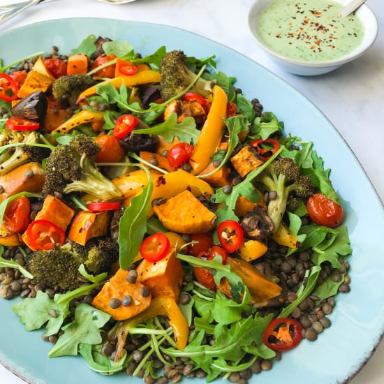 Roasted Vegetable and lentil salad