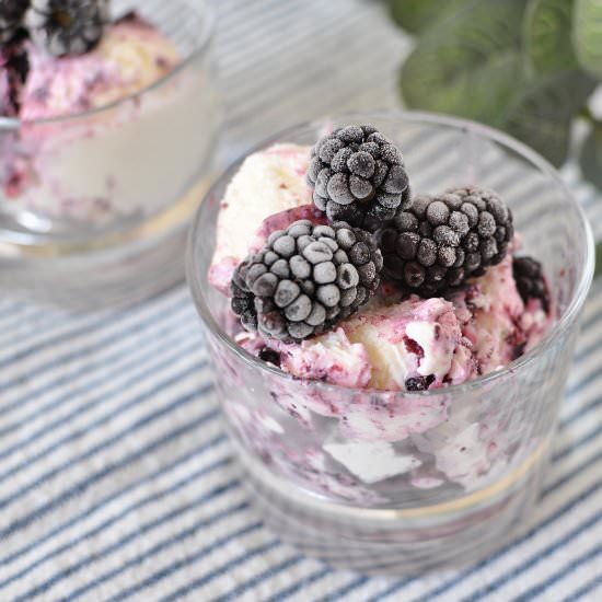 Blackberry Frozen Yogurt