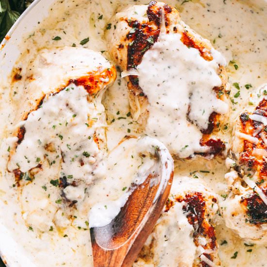 Creamy Garlic Herb Chicken Recipe