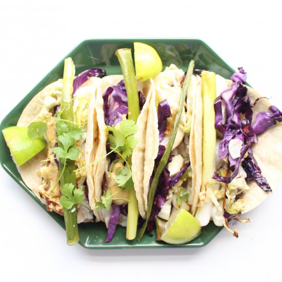 White fish tacos
