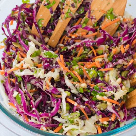 Protein-Packed Slaw with Cilantro a