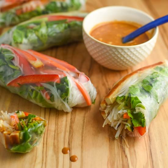 Fresh Vegan Spring Rolls
