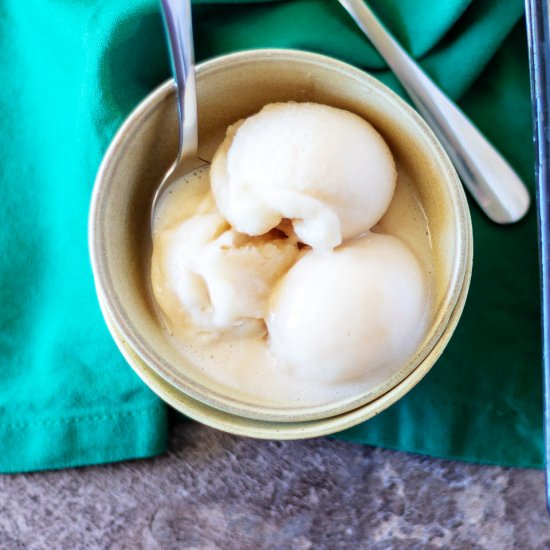 Homemade Almond Milk Ice Cream