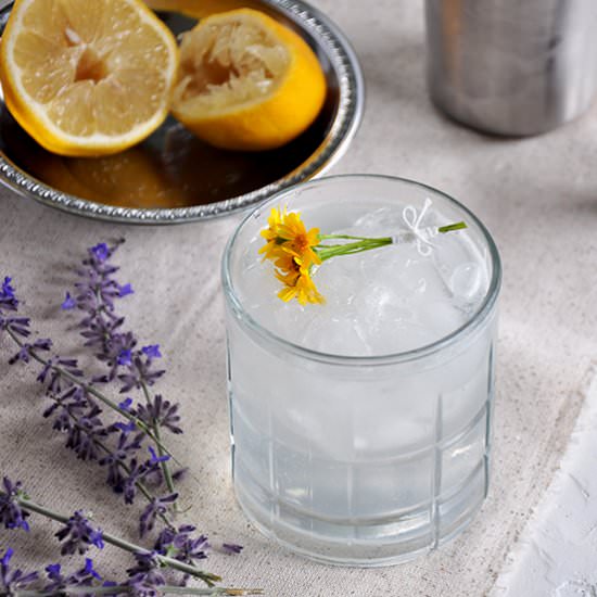 Rum Daisy Cocktail