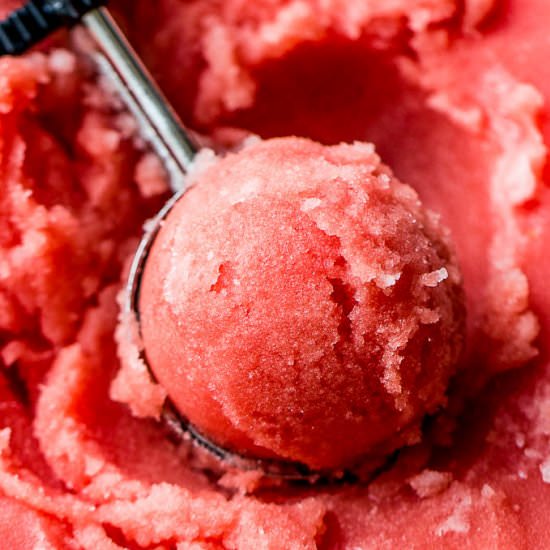 Honey Watermelon Sorbet