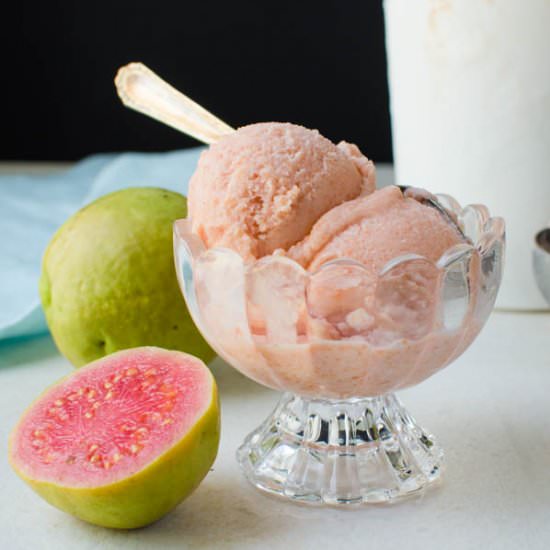 Homemade Guava Sherbet