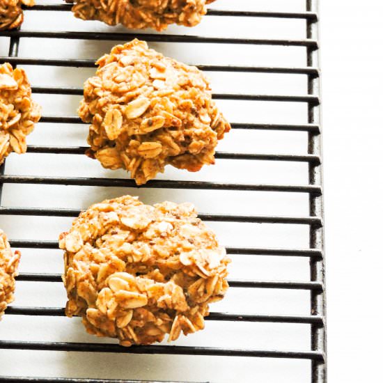 Apple Cinnamon Oatmeal Bites