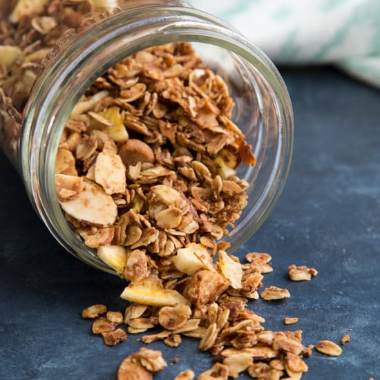 surfer granola