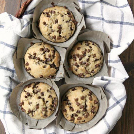 Choc Chip Muffins