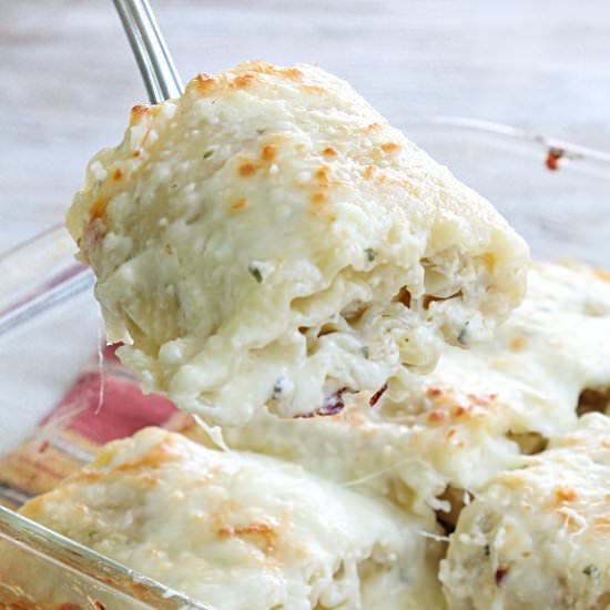 Chicken Alfredo Roll Ups