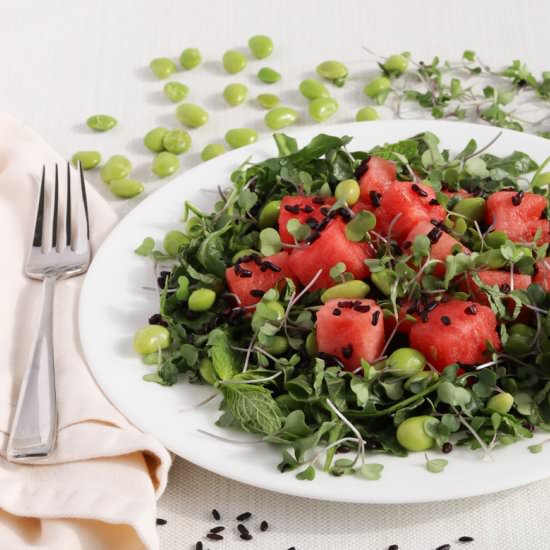 Watermelon & Forbidden Rice Salad
