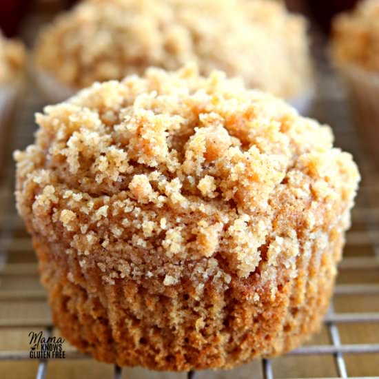 Apple Cinnamon Crumb Muffins