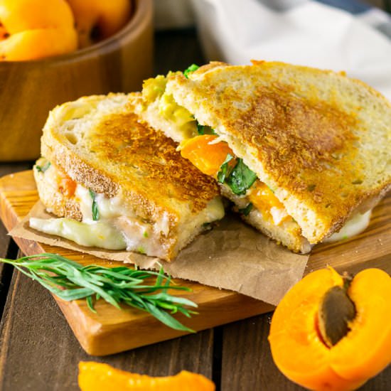 Brie-Apricot Grilled Cheese