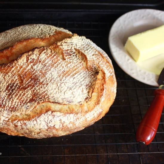 No-Knead Bread