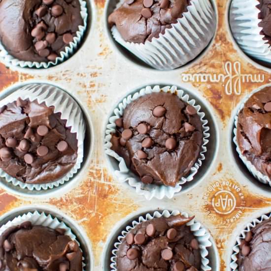 Chocolate Butternut Squash Muffins