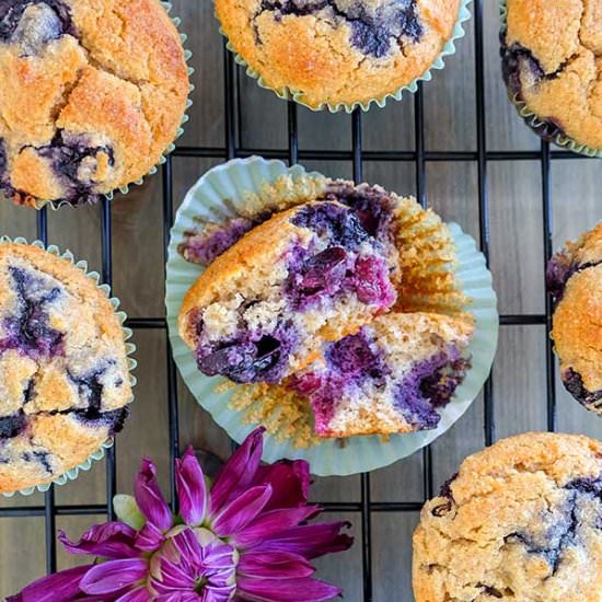 Grain-Free Blueberry Cinnamon Muffin