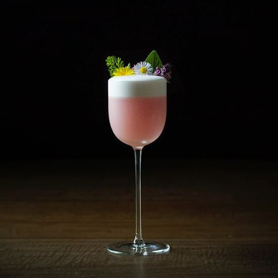 Garden Variety Gin Sour