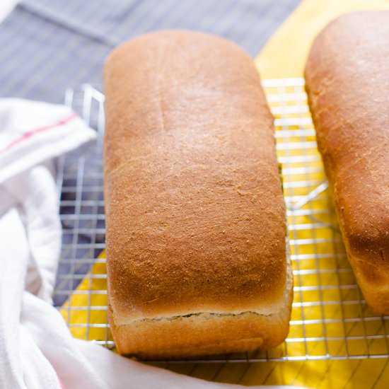 Matcha Swirl Loaf
