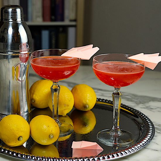 The Paper Plane