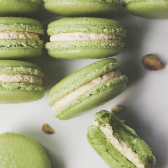 pistachio praline macarons