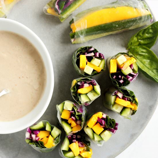 Cucumber Mango Spring Rolls