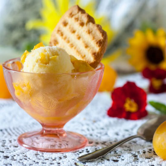 YELLOW PLUM SORBET