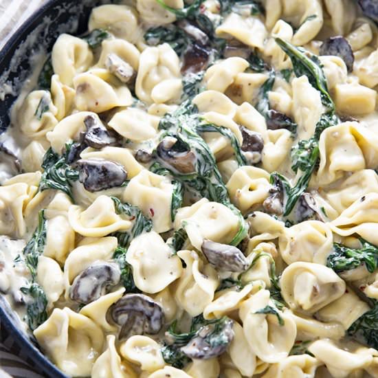 Spinach Mushroom Tortellini