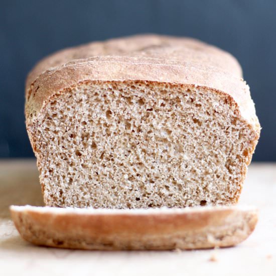 No Knead Whole Wheat Sandwich Bread